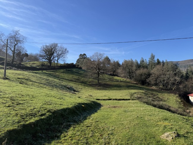 Terreno rústico protegido de 9732 m2 en Besaya / Buelna - Los Corrales de Buelna